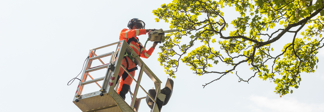 Sustainable Vegetation Management Facilitating Severn Trent’s Strelley to Redhill Pipeline Project