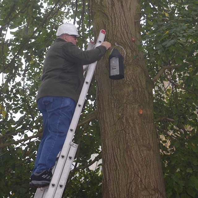 An image of a conservationist hanging a bat box on a tree. The bat box is funded by the biodiversity grants offered by utilities specialists, Avove and Severn Trent.